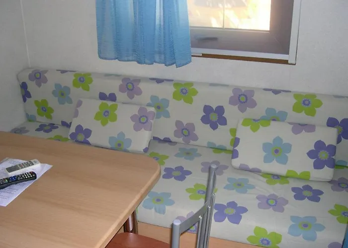 Κάμπινγκ L'oasi Di Lulu' *